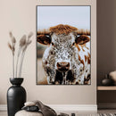 Texas Longhorn Wall Art Canvas Print – Spotted Horned Cattle