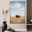 Bison Photography Wall Art Canvas Print – Framed Western