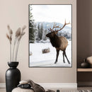 Elk Photography Wall Art Canvas Print – Framed Winter by MyGreatCanvas | Canvas Wall Art Prints | Photo Prints & Wall Decor