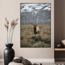 Wild Elk Wall Art Canvas Print – Framed Mountain Wilderness