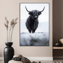 Frosty Black Highland Wall Art Canvas Print – Framed Moody