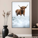 Highland Cow Wall Art Canvas Print – Framed Horned Scottish