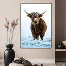 Highland Cow Wall Art Canvas Print – Framed Frosty Winter