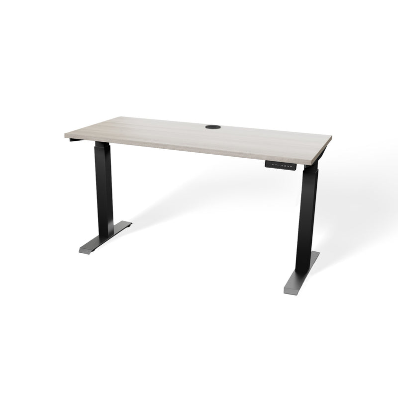 Atlas 54" Electric & Adjustable Stand-Up Computer Desk