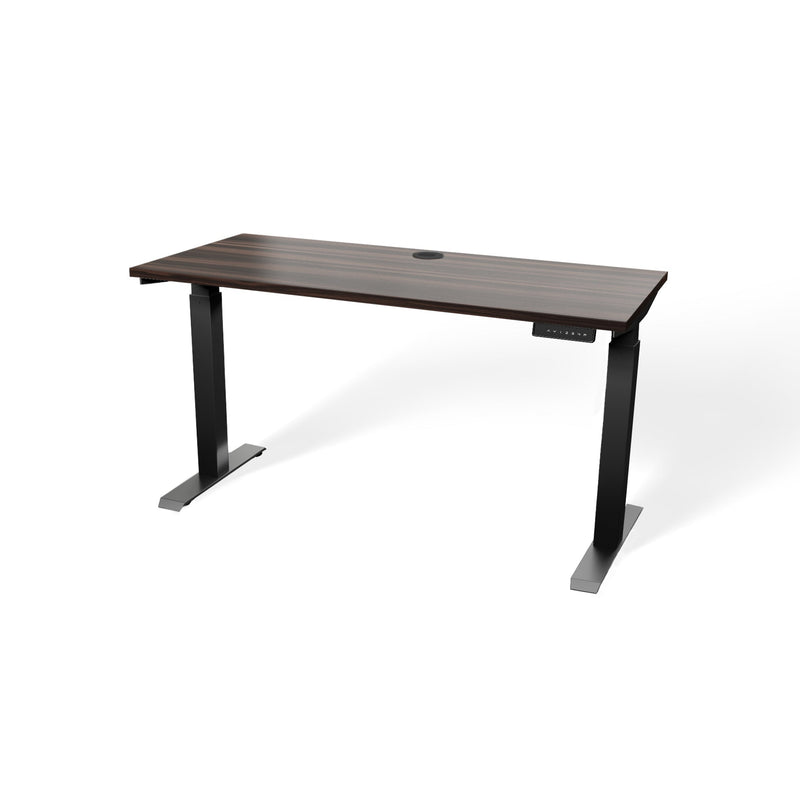 Atlas 54" Electric & Adjustable Stand-Up Computer Desk