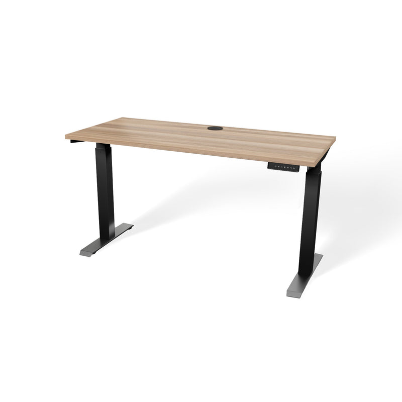 Atlas 54" Electric & Adjustable Stand-Up Computer Desk