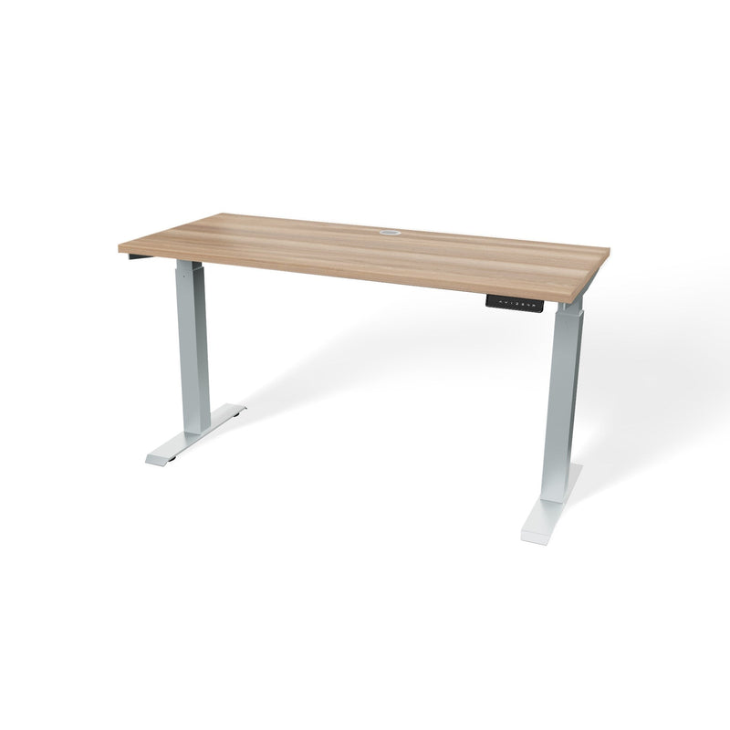 Atlas 54" Electric & Adjustable Stand-Up Computer Desk