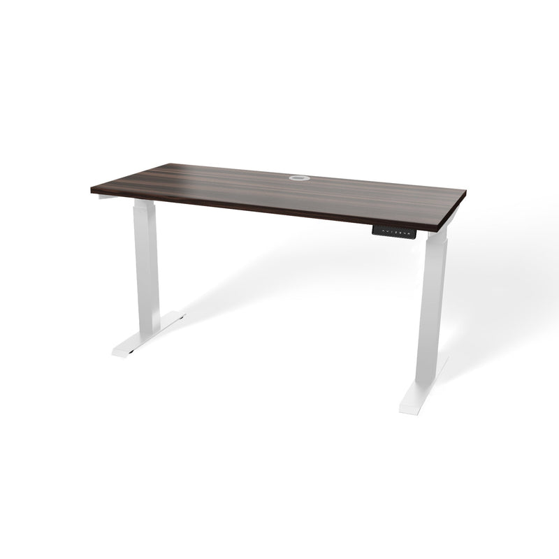 Atlas 54" Electric & Adjustable Stand-Up Computer Desk