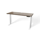 Atlas 54" Electric & Adjustable Stand-Up Computer Desk