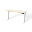 Atlas 54" Electric & Adjustable Stand-Up Computer Desk