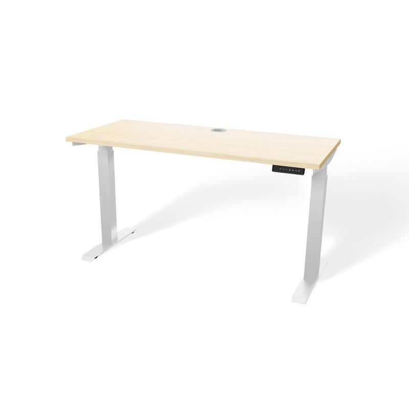 Atlas 54" Electric & Adjustable Stand-Up Computer Desk