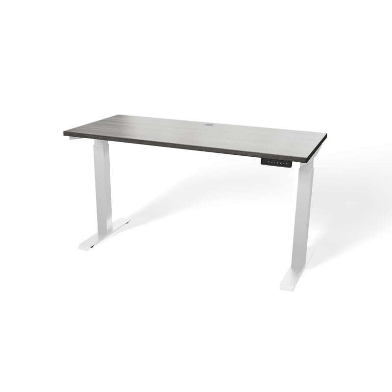 Atlas 54" Electric & Adjustable Stand-Up Computer Desk