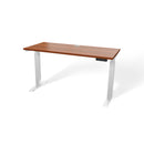 Atlas 54" Electric & Adjustable Stand-Up Computer Desk