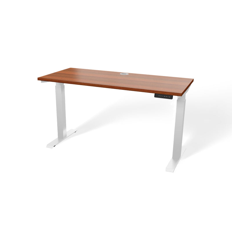 Atlas 54" Electric & Adjustable Stand-Up Computer Desk