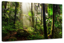 El Yunque Jungle Wall Art