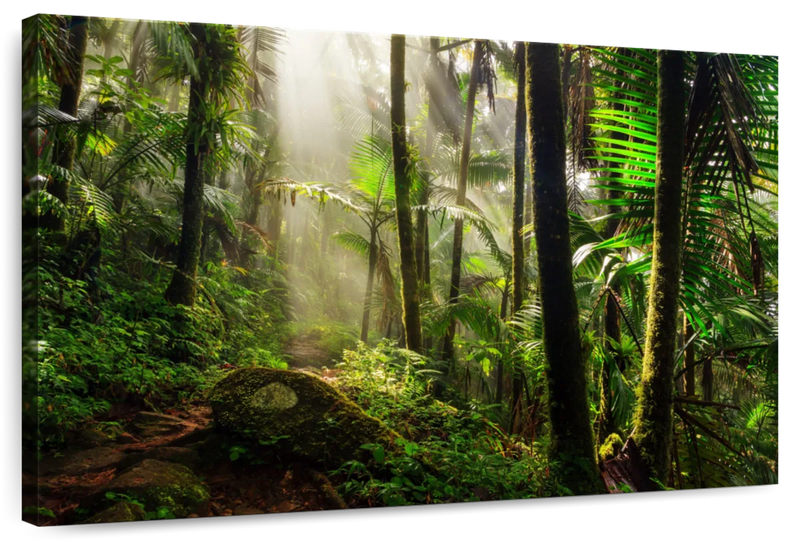 El Yunque Jungle Wall Art