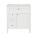 Bathroom Vanity With Top Sink, Modern Bathroom Storage Cabinet With 2 Drawers And A Tip-Out Drawer