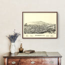 Vintage Map of Bainbridge, New York 1889