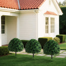 28 Inches Artificial Boxwood Topiary Ball Tree Set of 2 with Ground Spike-Green by LJGDeals