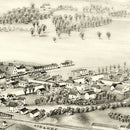 Vintage Map of Cleveland, New York 1890