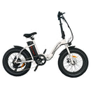 G20 Folding Electric Bike Ebike Bicycle 500W Motor 20" Fat Tire With 36V/13Ah Li-Battery New Model