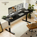 Polaris Electric Standing Desk - 55"×24"