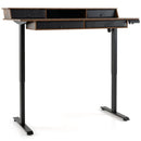 55 Inch x 27 Inch Electric Standing Desk with Drawers by LJGDeals