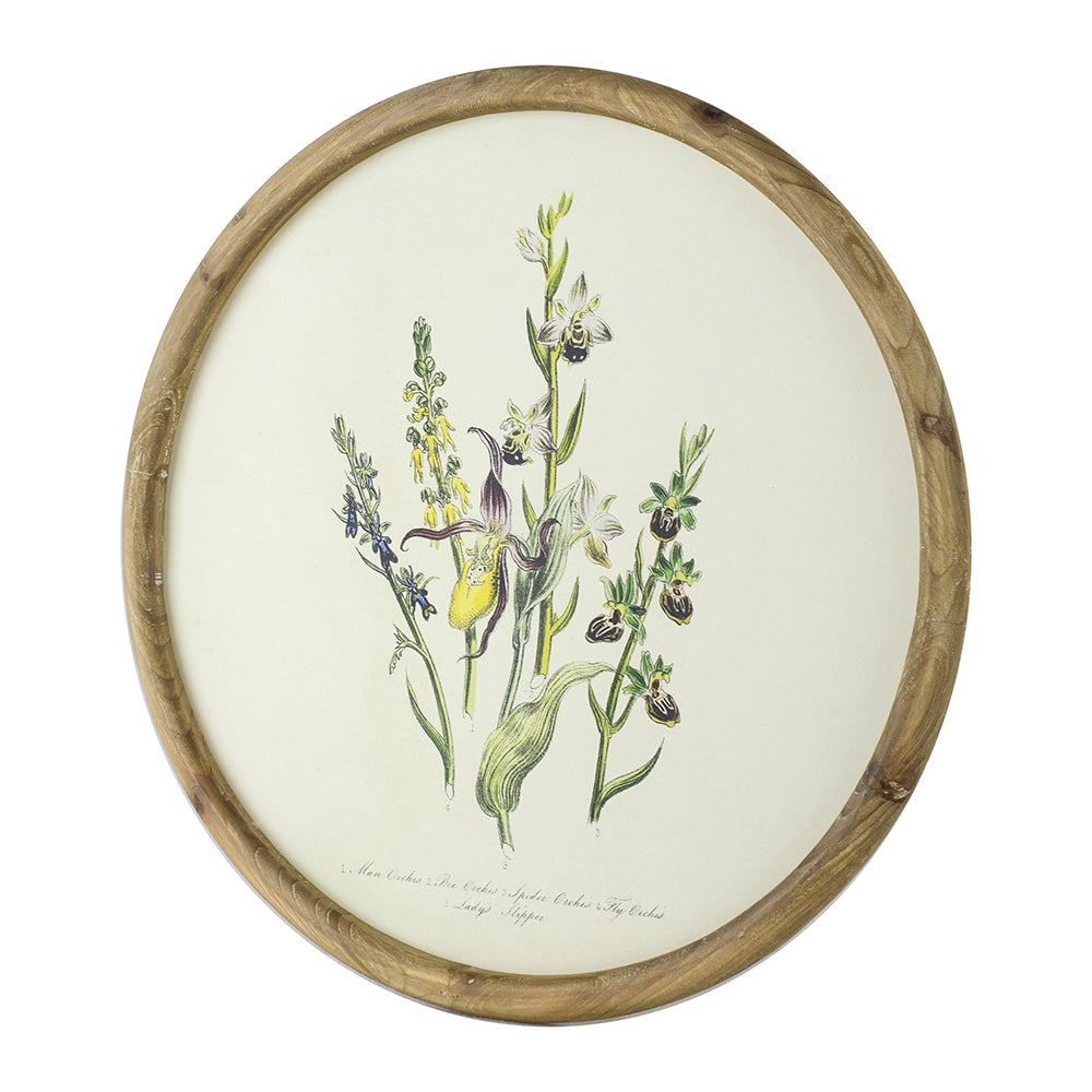 S/4 D19.7" Flora Print Round Frame, photo 4 of 10