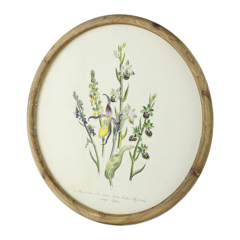 S/4 D19.7" Flora Print Round Frame, photo 4 of 10