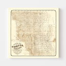 Vintage Map of Colusa County, California 1885