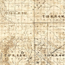 Vintage Map of Colusa County, California 1885
