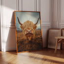 Golden Fluff and Attitude Highland Cow