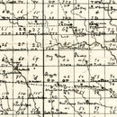 Vintage Map of Coffee County, Georgia 1891