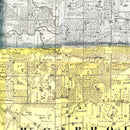 Vintage Map of Carroll County, Illinois 1869