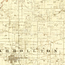 Vintage Map of Greene County, Illinois 1861