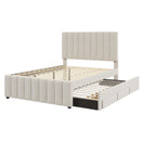Upholstered Platform Bed With Twin Size Trundle And 3 Drawers by HouseOfZazla