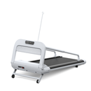 2025 New Quiet Smart Pet Treadmill