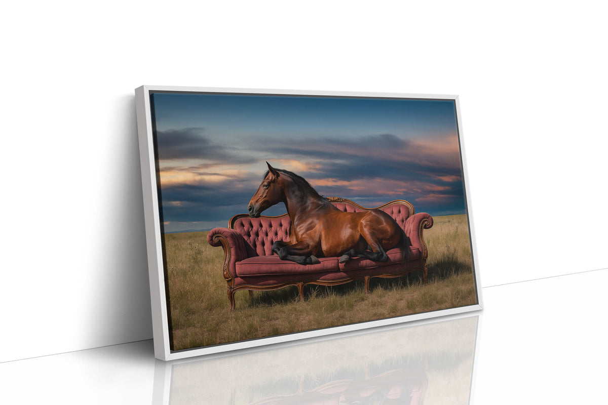Prairie Nobility, photo 14 of 16