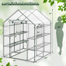 Walk-In Greenhouse 56x56x77 Inch with Observation Windows by DirectDeals