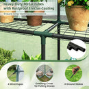 Walk-In Greenhouse 56x56x77 Inch with Observation Windows by DirectDeals