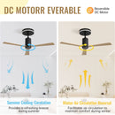 Modern Flush Mount Ceiling Fan With Led Light And Remote Control, 3 ABS Blades Noiseless Reversible Dc Motor For Patio Living Room - Matte Black by HouseOfZazla