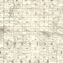 Vintage Map of Martin County, Minnesota 1901