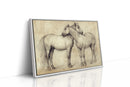 Equine Companionship Study