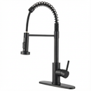 Brushed Nickel Kitchen Faucet with Pull Down Sprayer