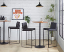 Fuji - Contemporary High Back Barstool Elegant Design