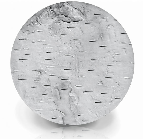 Birch Bark Drink Coasters