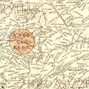 Vintage Map of Anderson County, South Carolina 1877