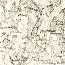 Vintage Map of Powhatan County, Virginia 1864
