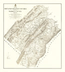 Vintage Map of Shenandoah & Page County, Virginia 1875