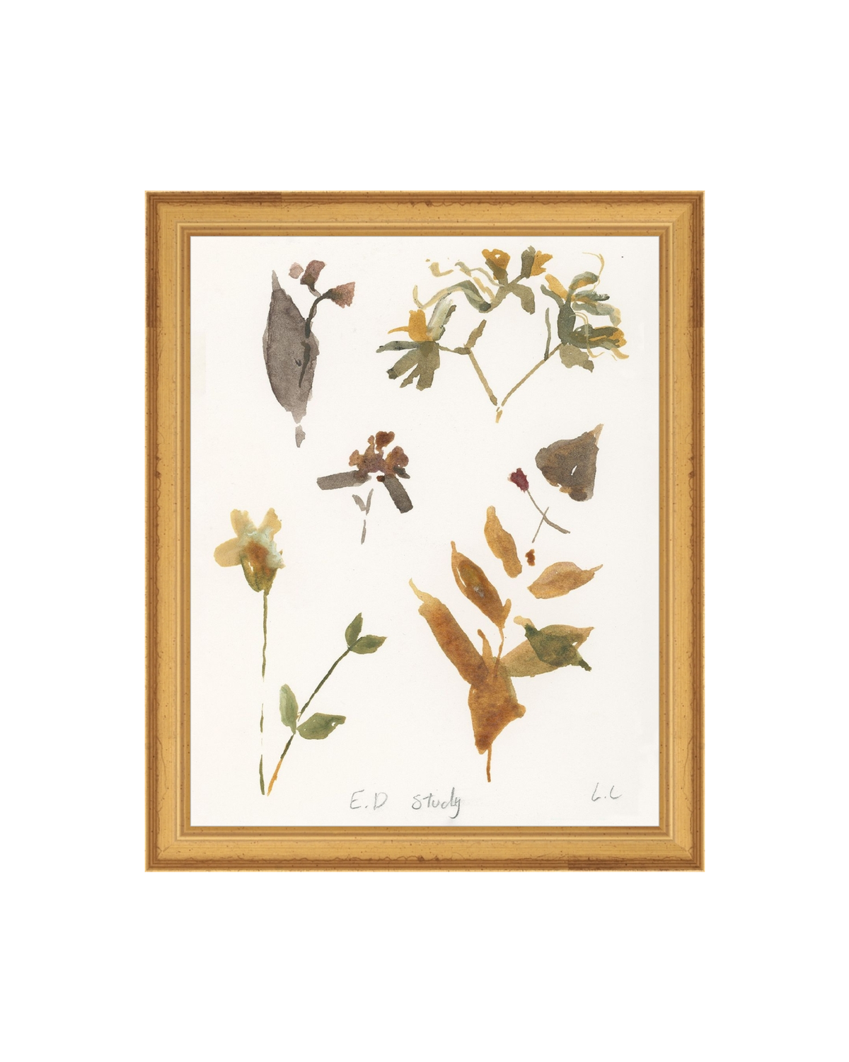 E.D Botanical Study, photo 22 of 34